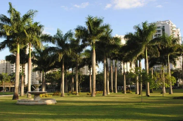 Península Barra da Tijuca - Lagoa de Marapendi
